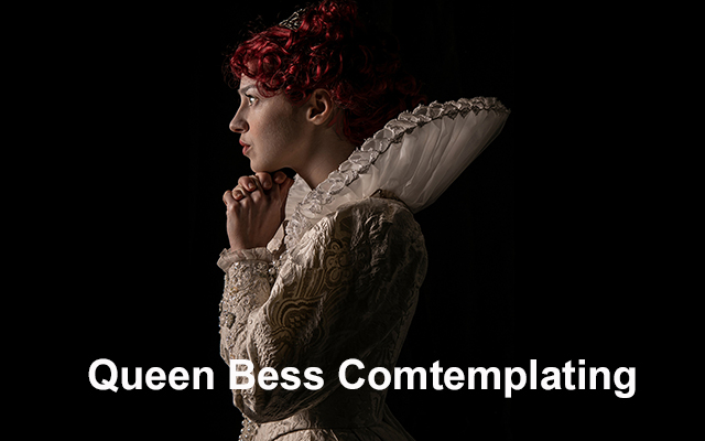36 Queen Bess Contemplating copy