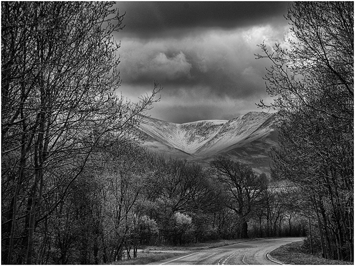 4 Joint (Sue Riley) VHC Road To The Hills web