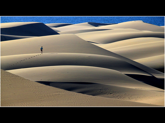 7 Joint (Ron Davies FRPS) HC Lonesome again web